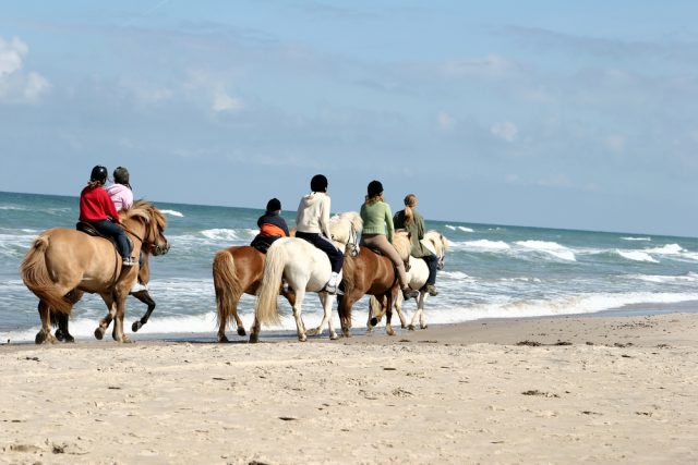 Newquay Riding Stables - Country View Cottages